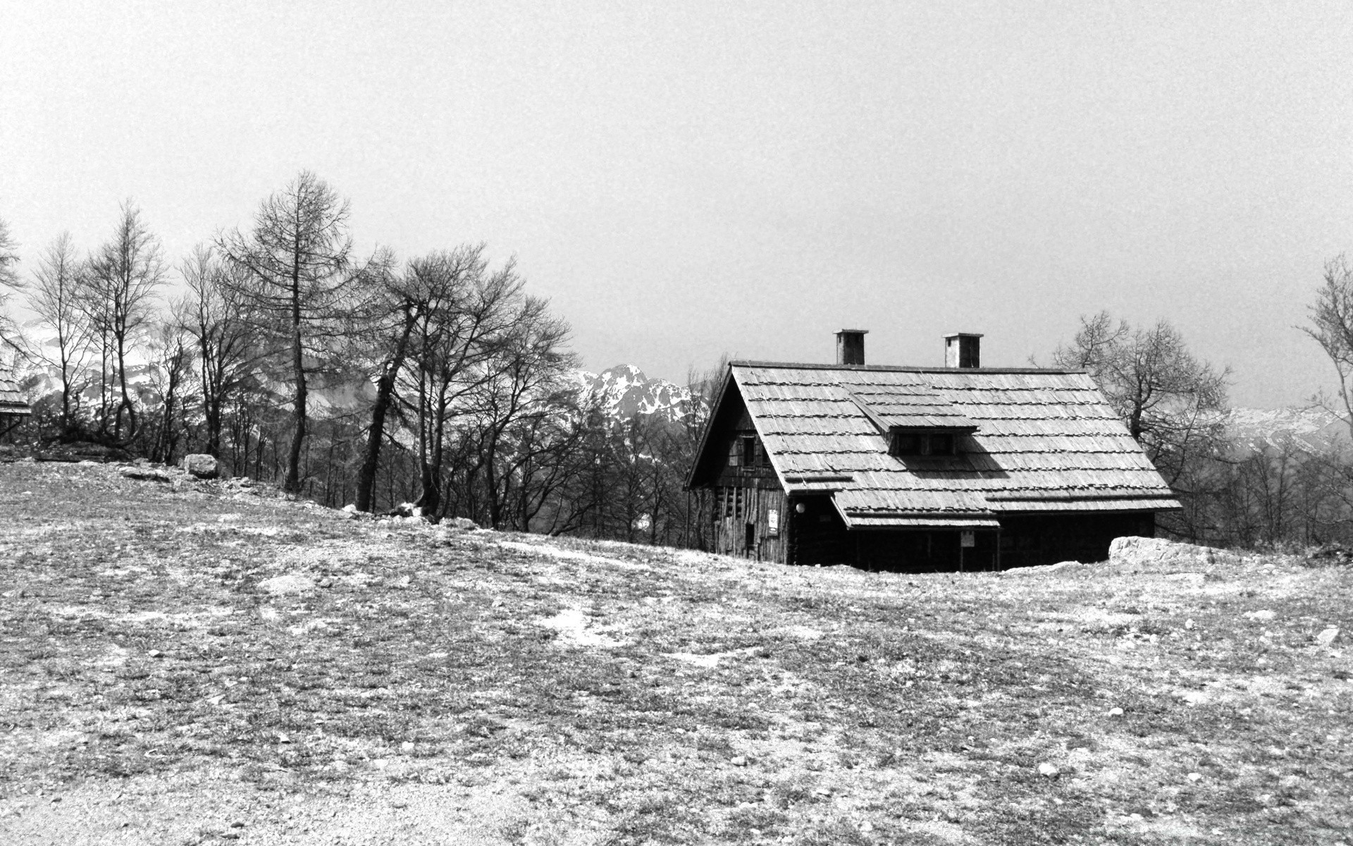 black and white winter tree snow wood landscape farmhouse house home