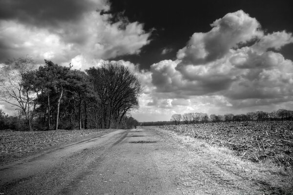 El camino a ninguna parte es blanco y negro