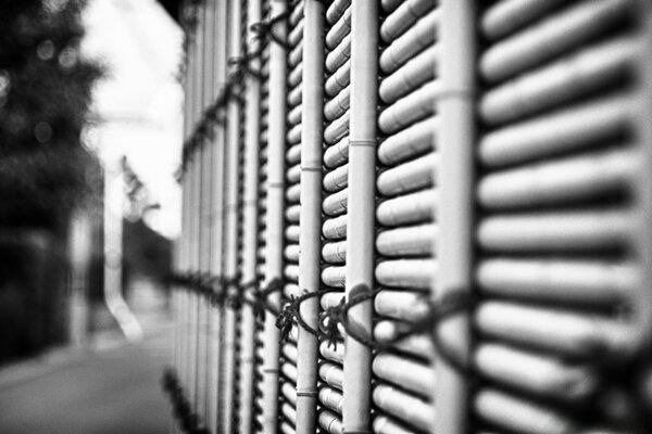 Photo monochrome barbed wire fence