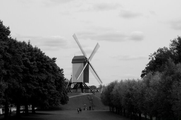 Schwarz-Weiß-Foto von Windmühle und Wald