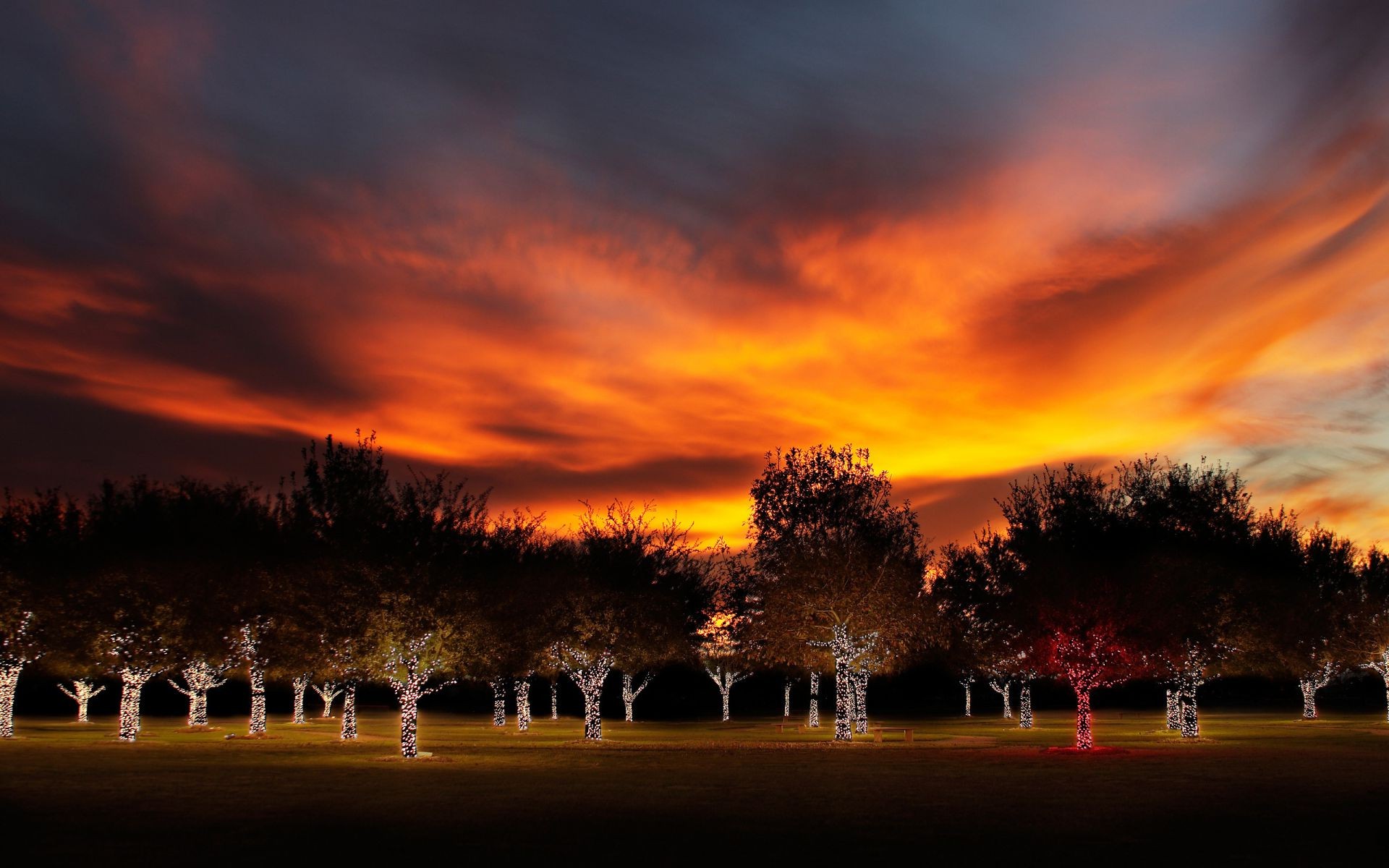 atardecer y amanecer amanecer atardecer noche cielo oscuro sol crepúsculo viajes naturaleza otoño al aire libre luz