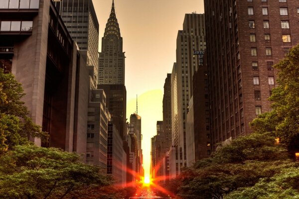 O sol atravessa os altos