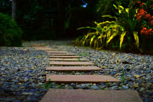 Jardín de la casa. Flores y tranquilidad