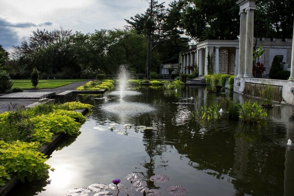Beautiful park with garden and swimming pool