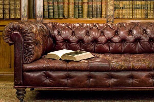 Bibliothek altes Ledersofa