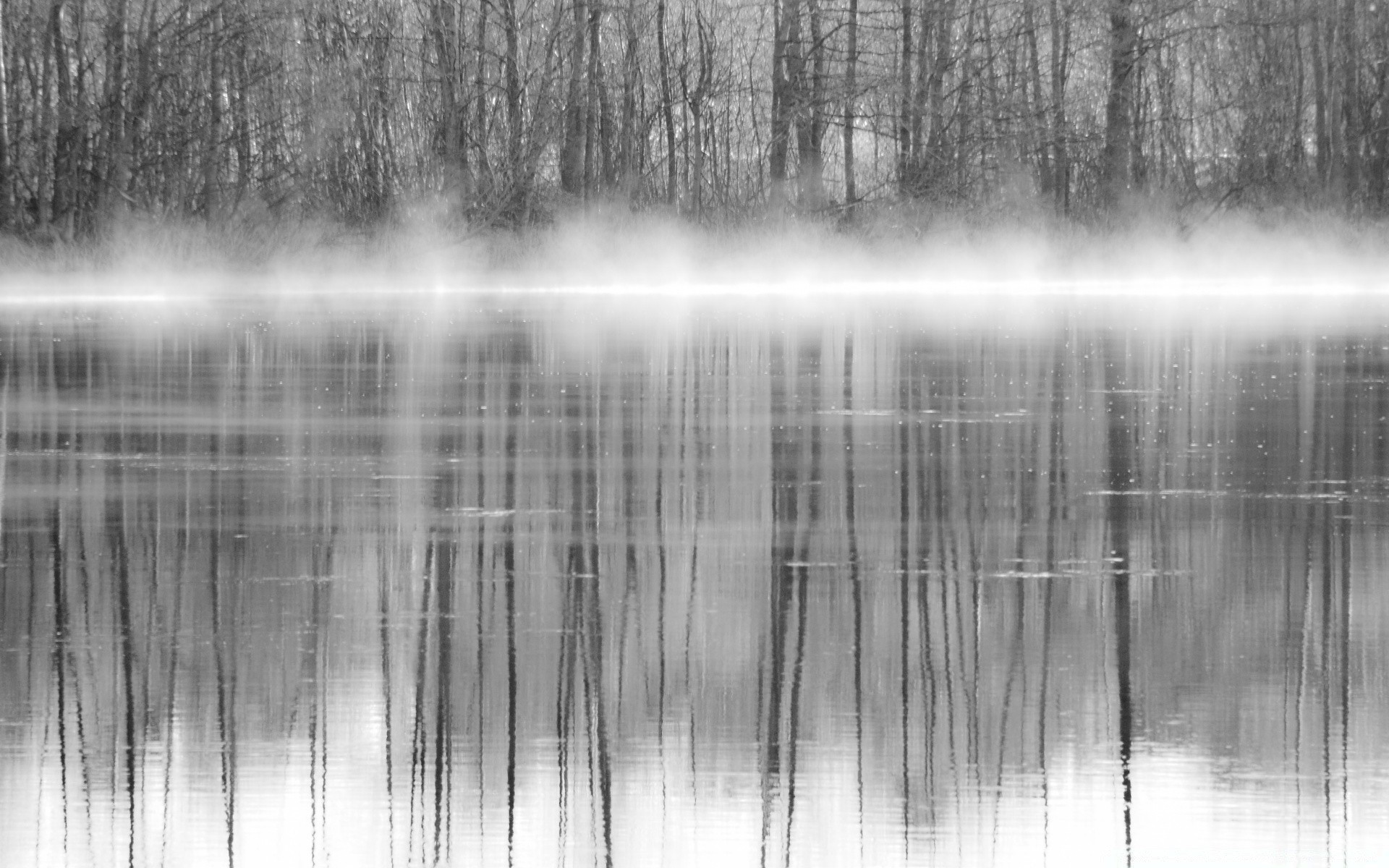 black and white reflection lake wood water river nature landscape tree monochrome outdoors