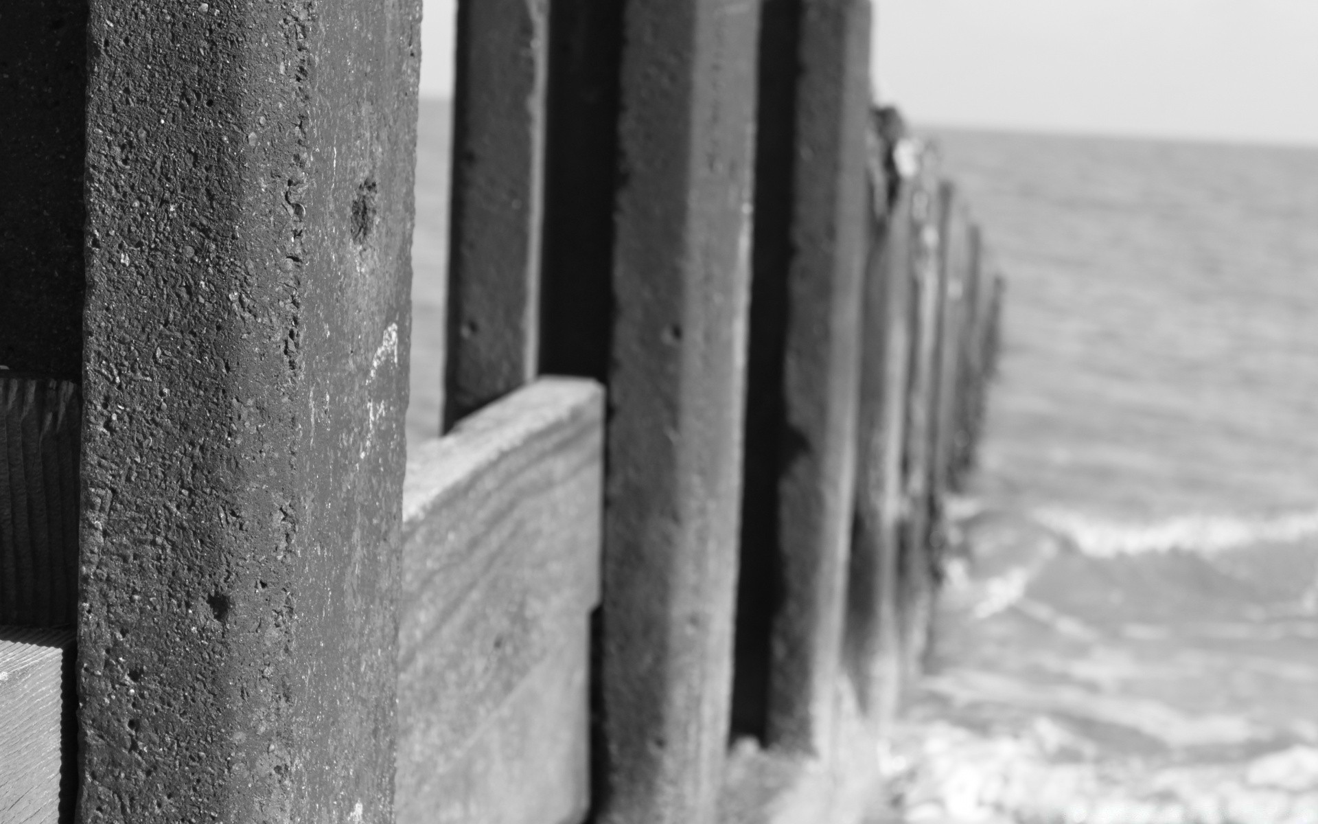 blanco y negro invierno nieve agua monocromo al aire libre naturaleza playa lluvia mar