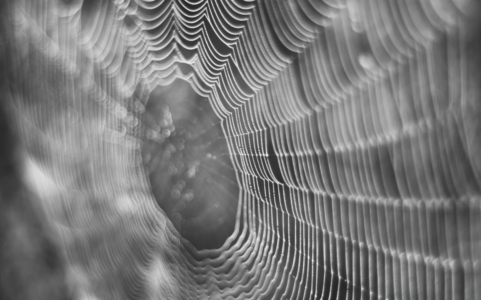 preto e branco abstrato textura padrão design desktop aranha luz natureza web teias de aranha arte linha formas água papel de parede escuro futurista