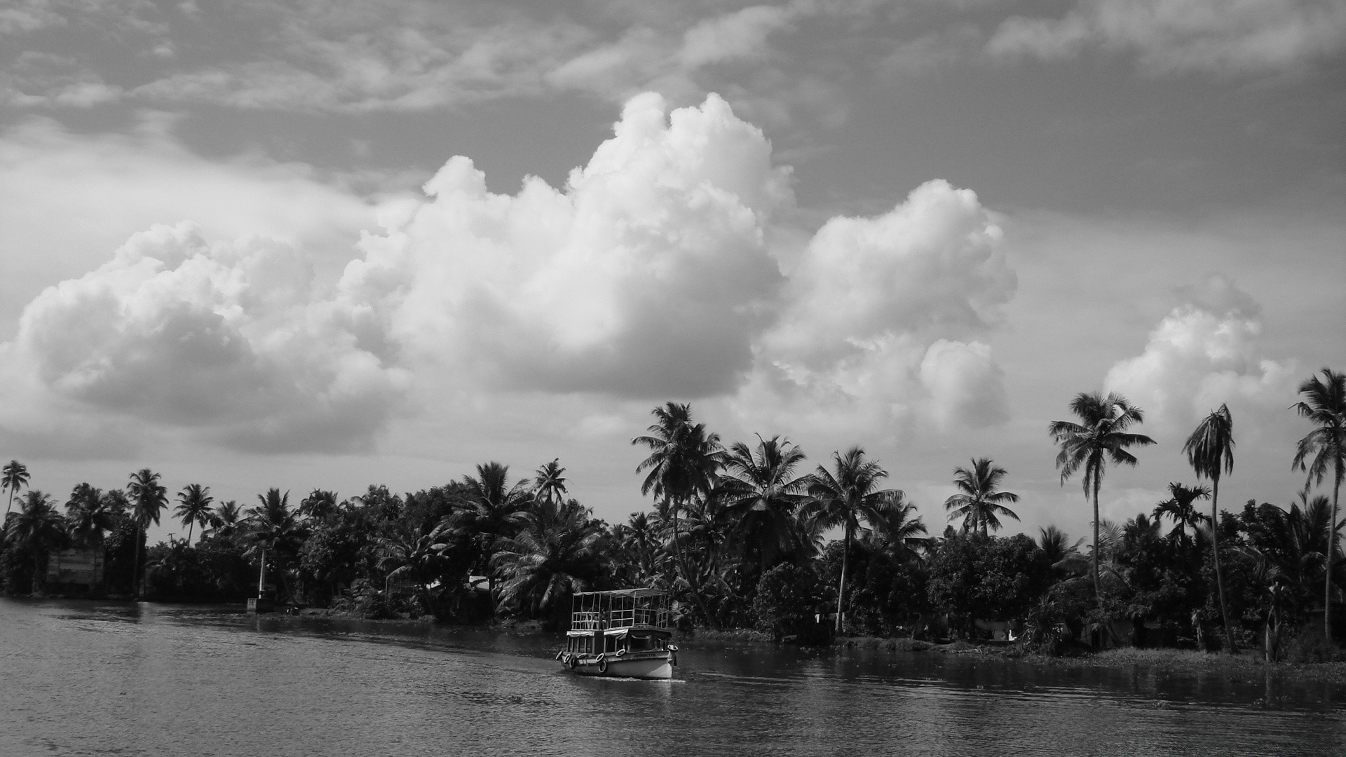 black and white water tree beach palm travel island tropical outdoors lake sky ocean landscape seashore reflection recreation