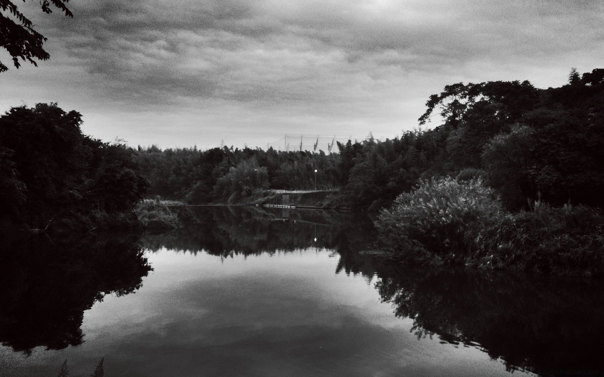 schwarz und weiß see wasser landschaft reflexion baum nebel fluss dämmerung monochrom natur nebel sonnenuntergang himmel im freien