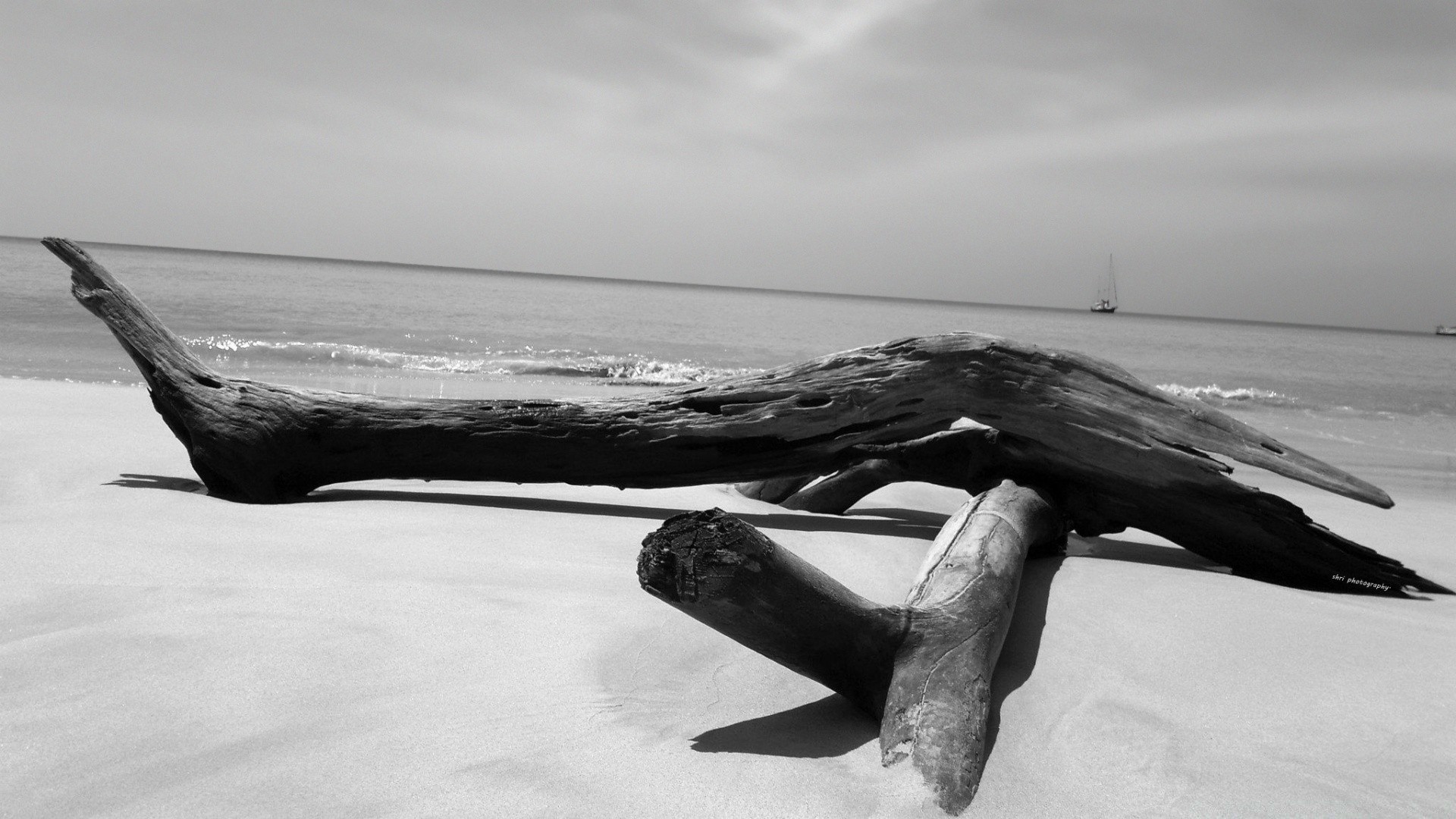 czarno-biała plaża wody morze ocean monochromatyczny morze krajobraz zachód słońca piasek świt podróż krajobraz niebo