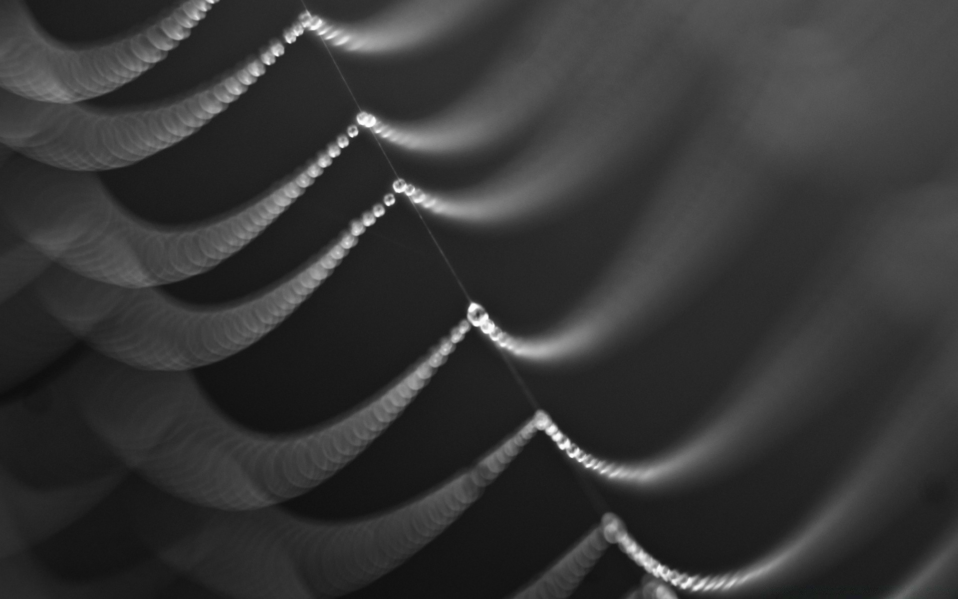 black and white abstract monochrome art texture design wallpaper blur futuristic pattern contrast desktop