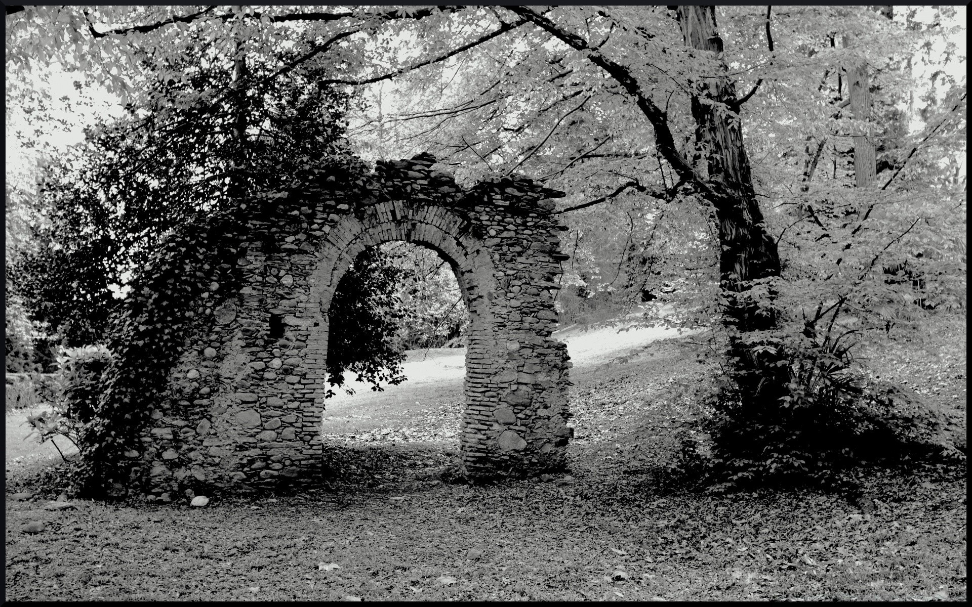 black and white tree ancient stone old architecture travel wall