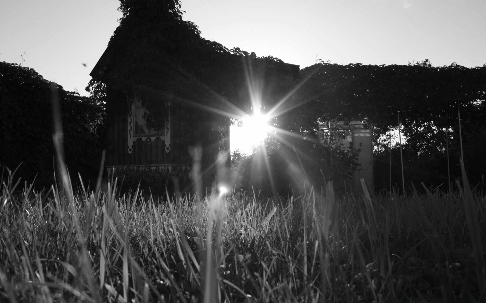 black and white sun landscape grass field nature dawn farm rural light sunset sky outdoors fair weather countryside