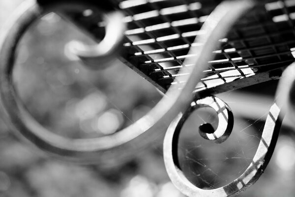 Cobweb on the facade of the building in black and white