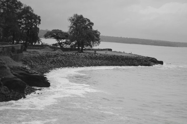 Landschaft mit Meer in Schwarz-Weiß-Farbtönen