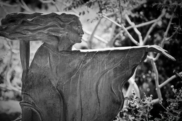 Estatua de la naturaleza en blanco y negro