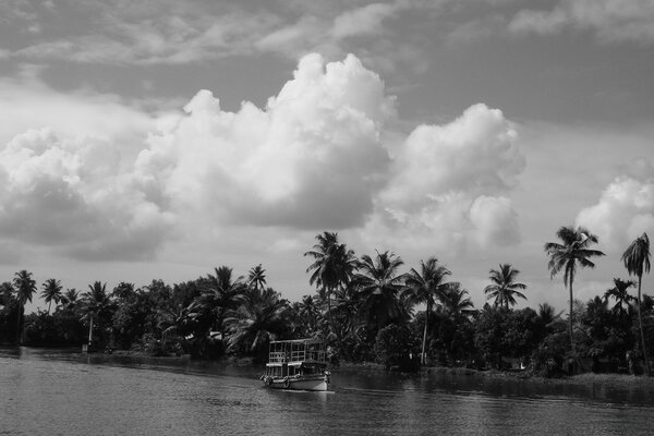 Black and white image of a beach with palm trees