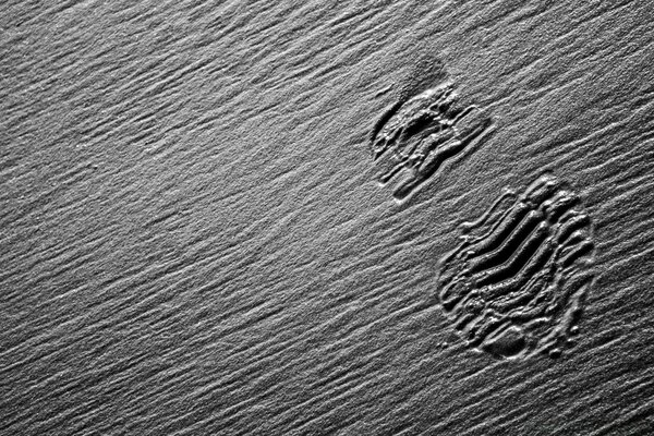 Sed on the sand in black and white