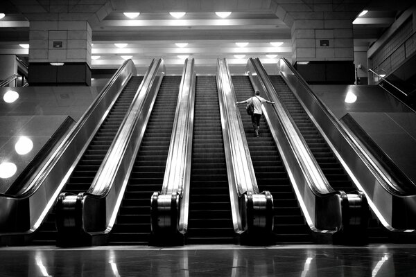 Escalators vides image en noir et blanc