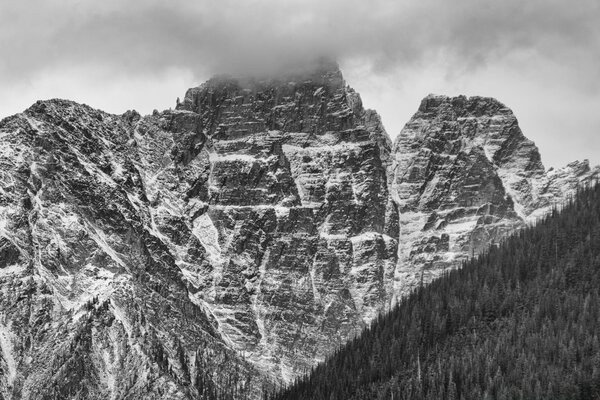 Paesaggio della natura in bianco e nero come roccia