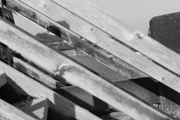 Bois en noir et blanc