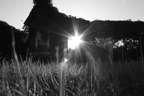 Paysage noir et blanc. Herbe sur le terrain