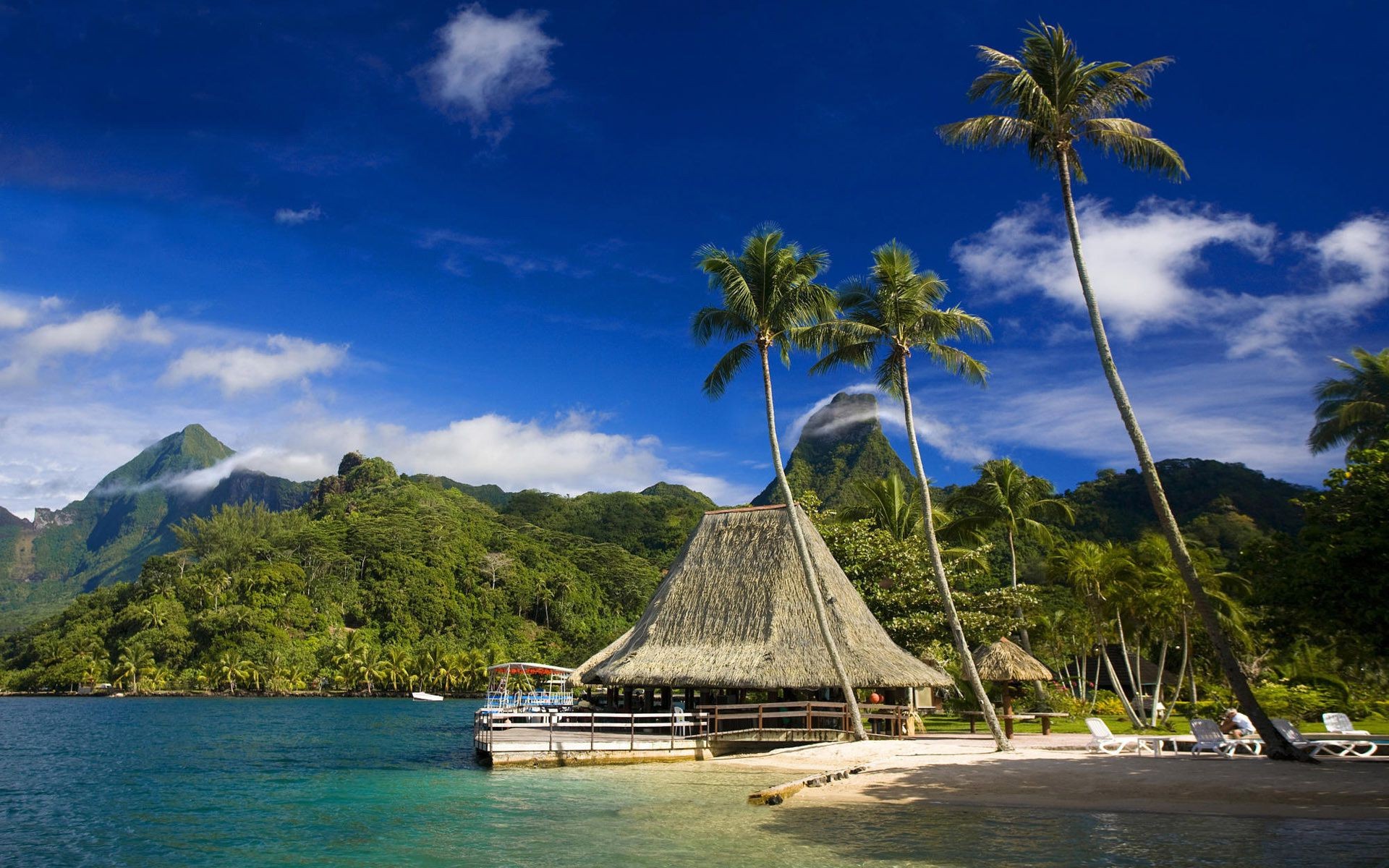 meer und ozean tropisch wasser strand reisen meer insel ozean exotisch urlaub idylle sommer baum bucht himmel palmen meer sand entspannung paradies