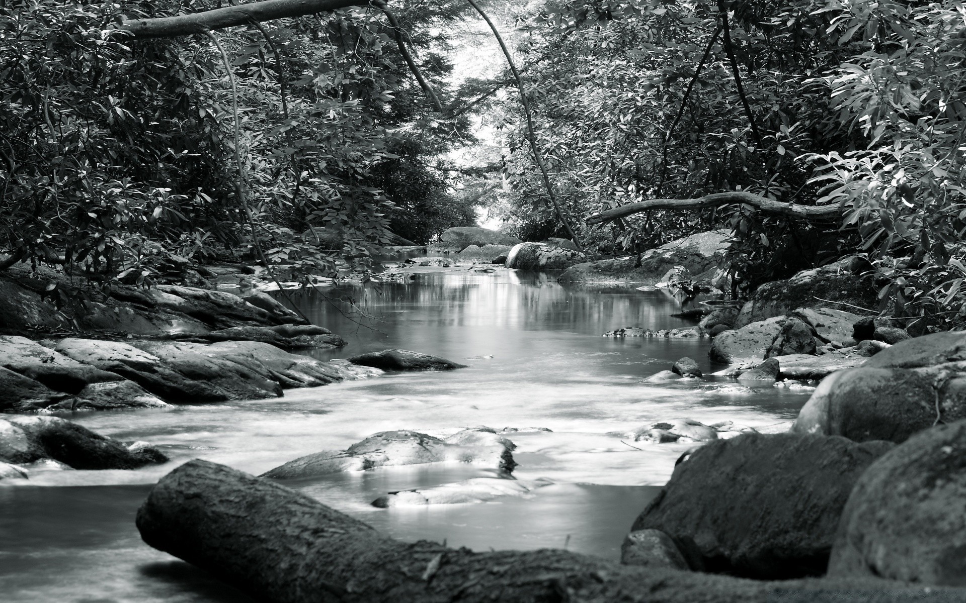 noir et blanc eau rivière ruisseau nature rock cascade ruisseau à l extérieur bois paysage bois pierre voyage automne boulder cascade