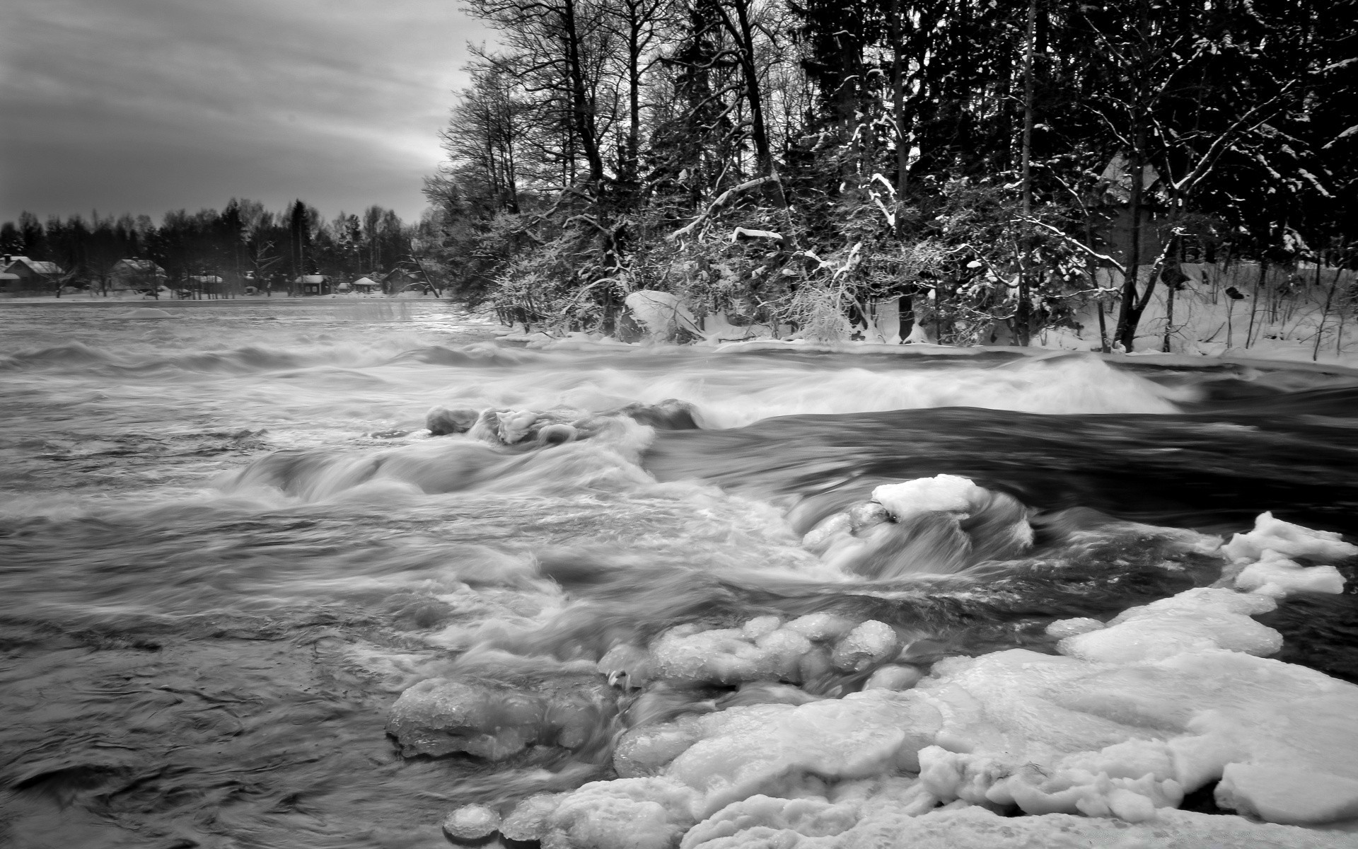 blanco y negro agua río invierno paisaje nieve frío naturaleza árbol al aire libre hielo