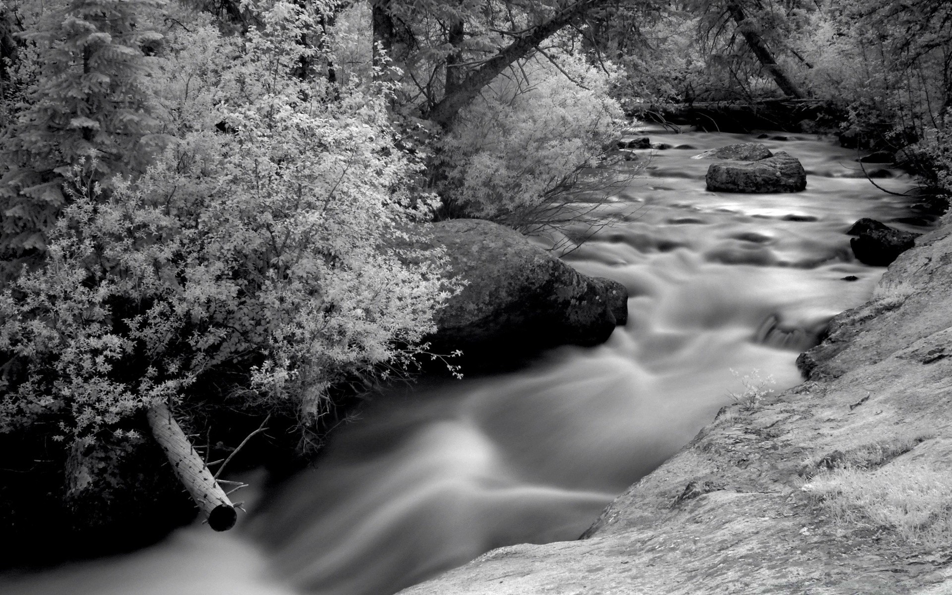 blanco y negro agua naturaleza río cascada paisaje roca corriente al aire libre madera monocromo viajes árbol invierno nieve movimiento grito otoño hielo