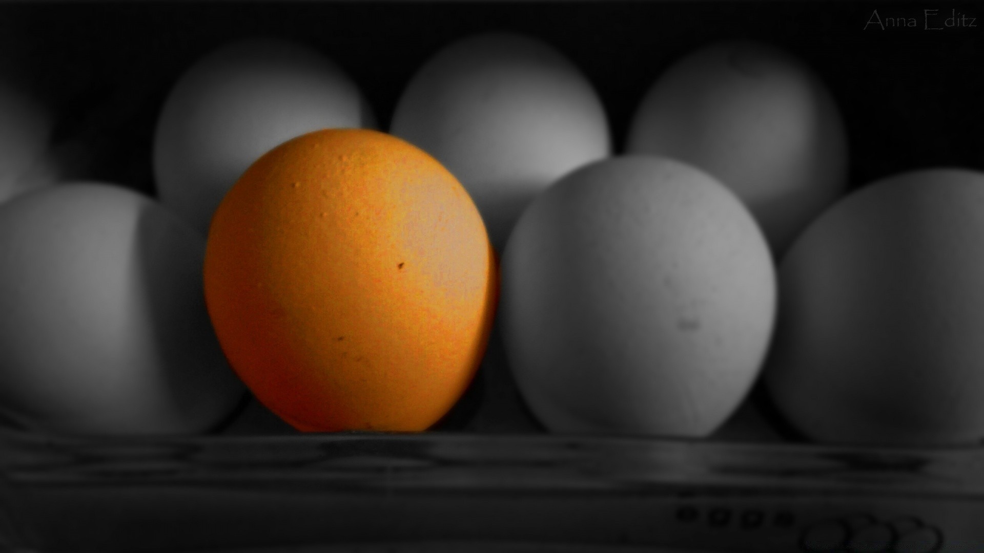 schwarz und weiß ei essen huhn ostern rund stillleben wachsen vögel frühstück farbe