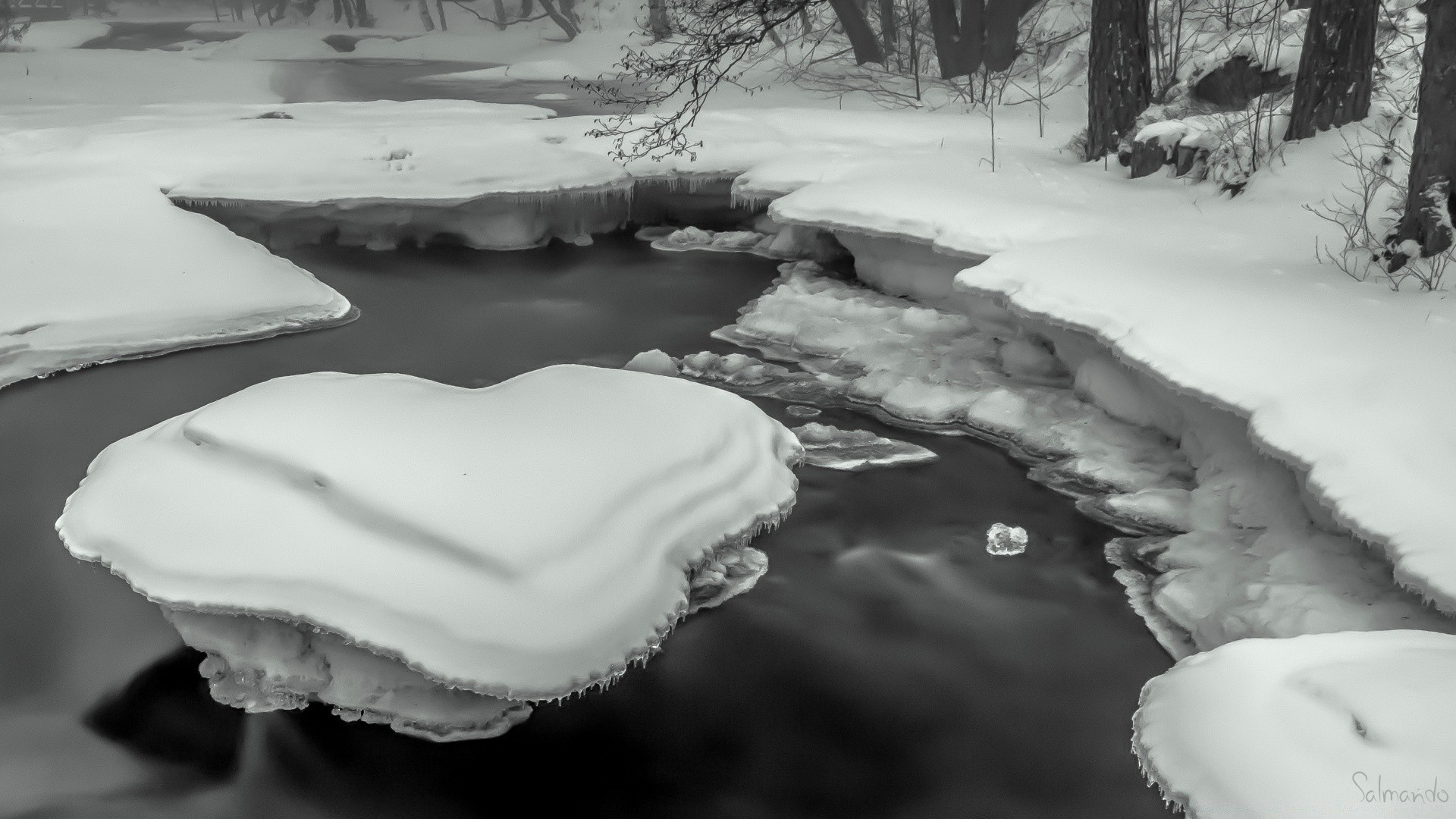 blanco y negro nieve invierno agua hielo frío congelado río monocromo escarcha al aire libre paisaje lago viajes naturaleza madera árbol