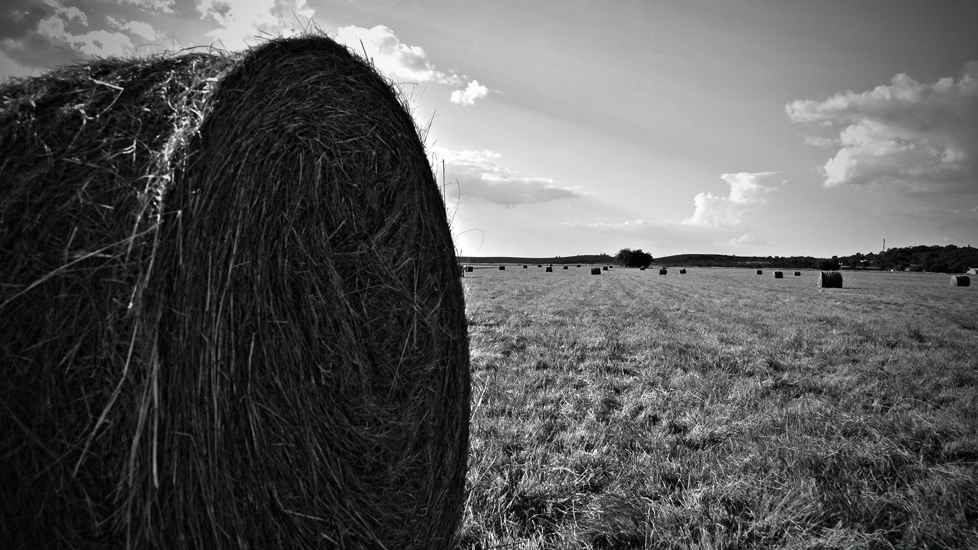 black and white landscape nature field sky grass rural cloud monochrome countryside outdoors farm