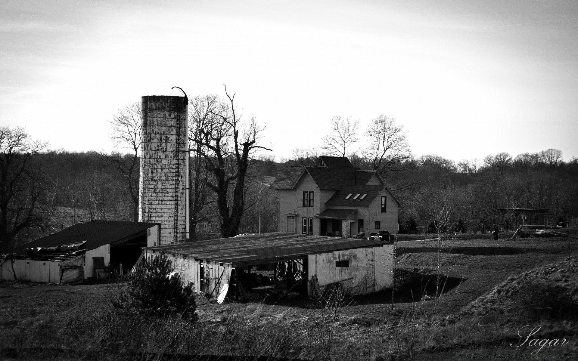 black and white monochrome abandoned house barn home tree outdoors farmhouse