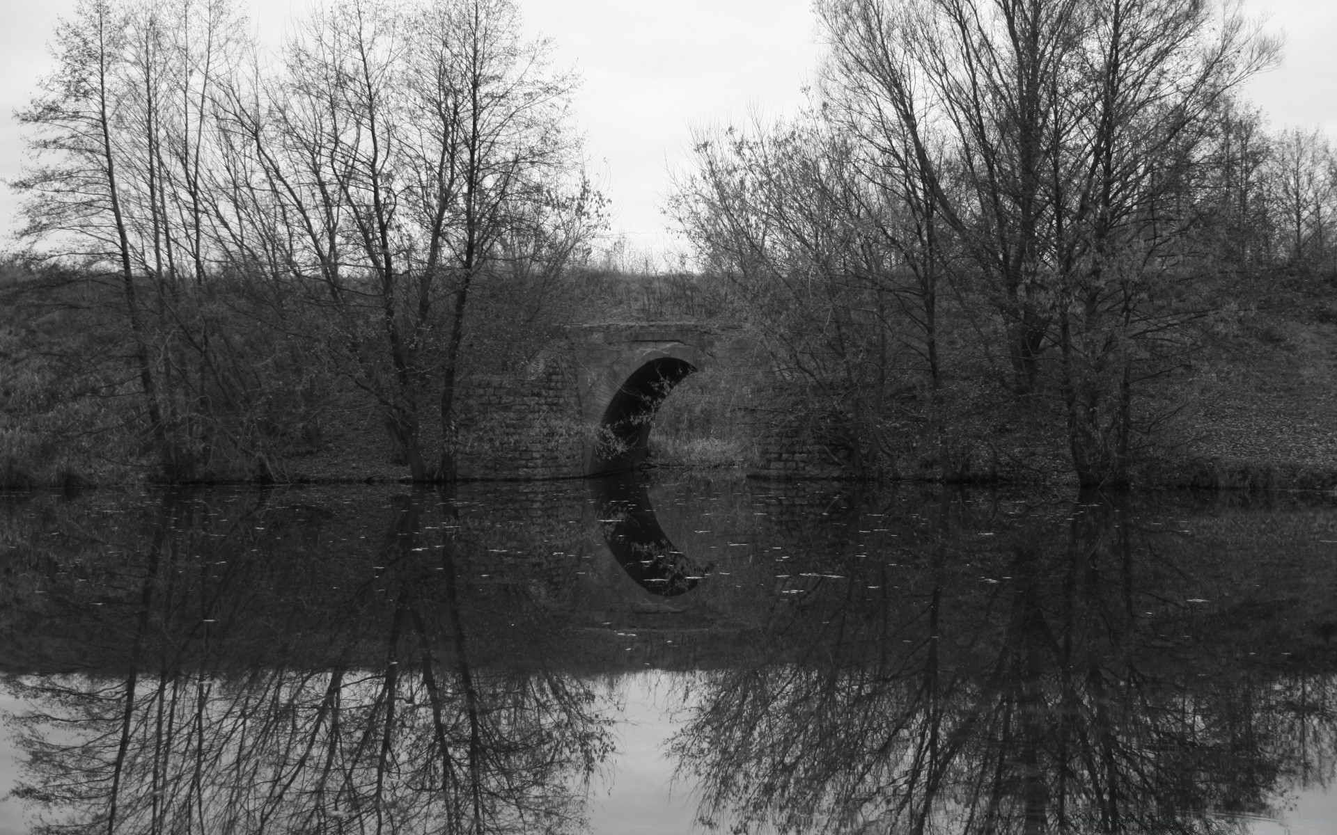 black and white tree winter reflection wood landscape weather water river park nature fog lake season outdoors pool environment