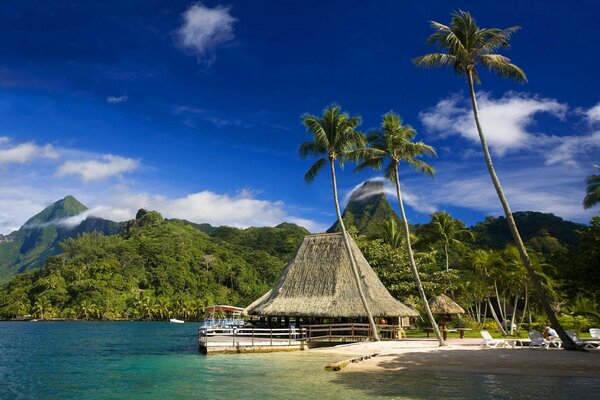 Playa tropical y cabaña, cerca del océano