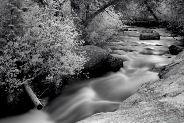 Fotografía infrarroja en blanco y negro