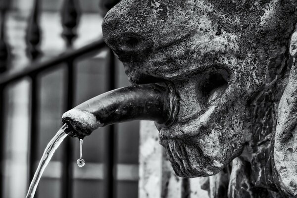 Scultura del cane e rubinetto dell acqua