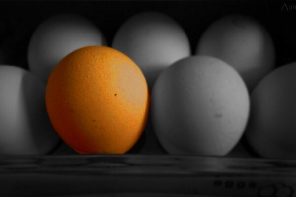 Un œuf en couleur naturelle sur fond noir et blanc