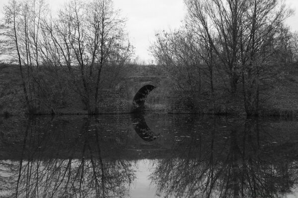 Black and white lake and black trees