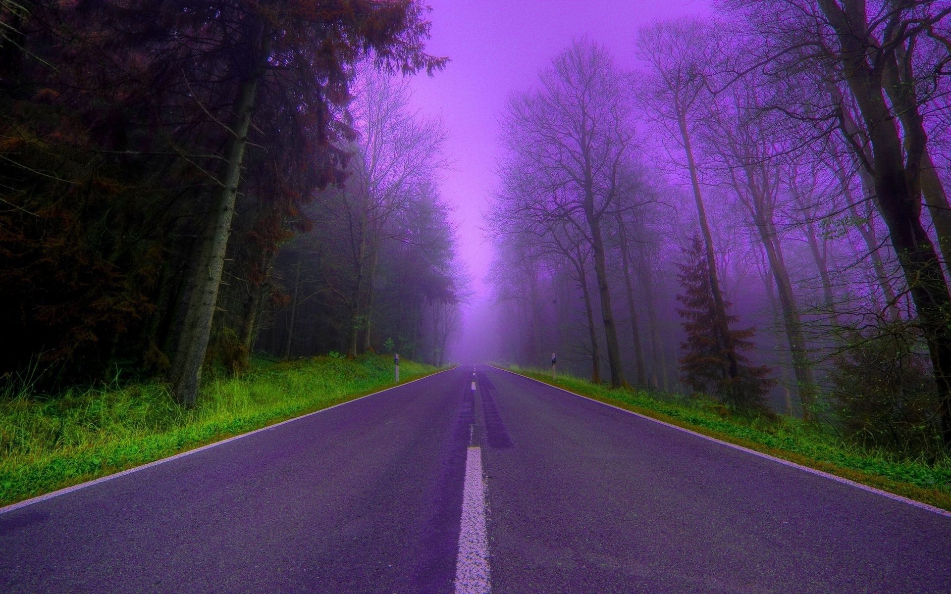 bäume straße landschaft guide nebel holz holz natur dämmerung licht regen