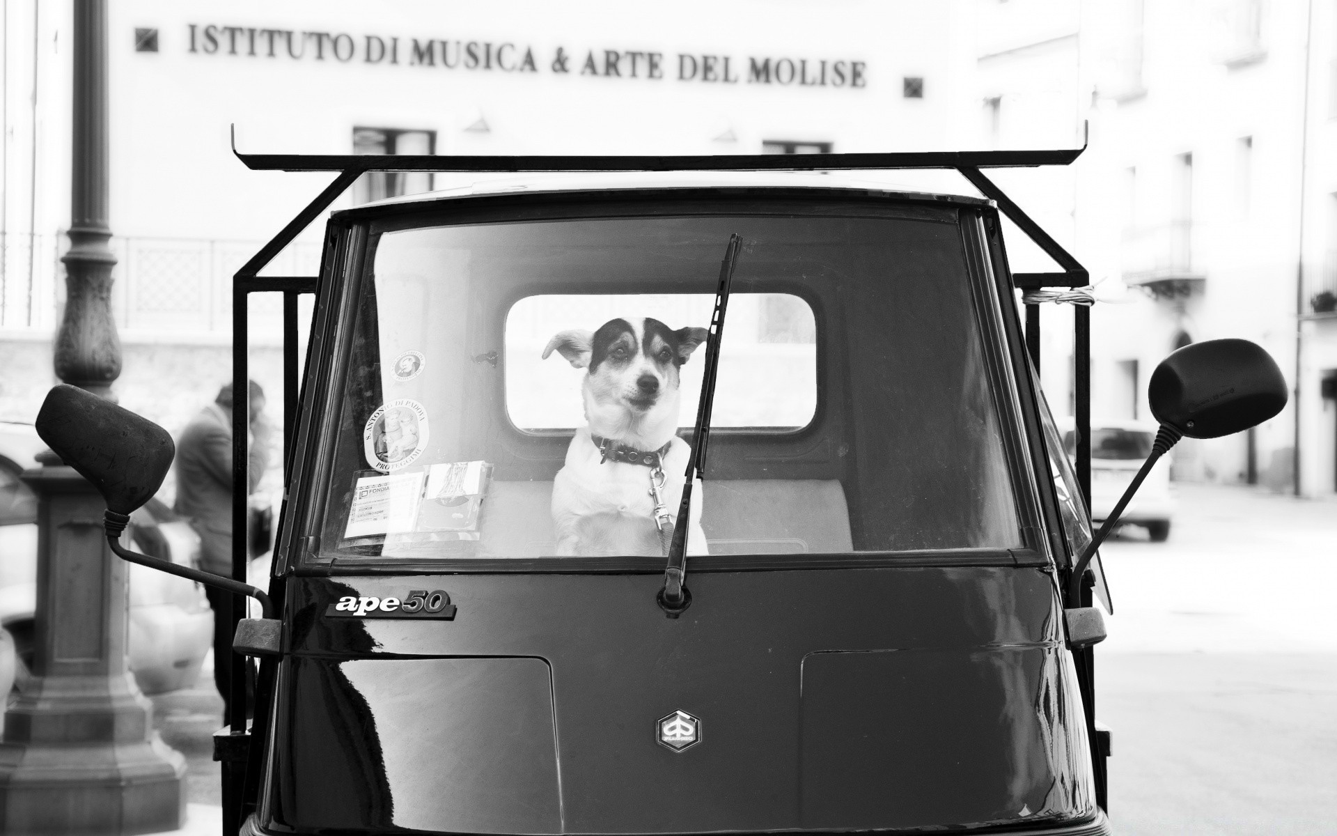 blanco y negro coche monocromo solo sistema de transporte