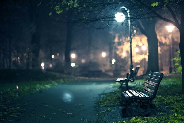 Banc sous la lanterne dans le parc du soir