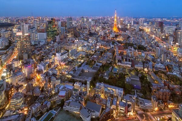 A big city. Top view