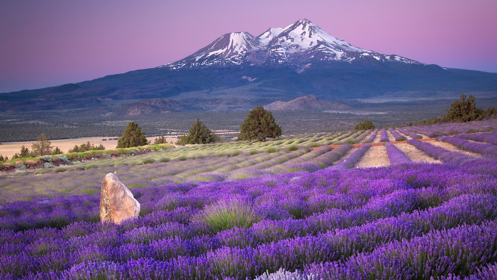 montagnes paysage nature fleur à l extérieur montagnes scénique ciel voyage champ