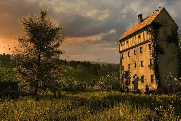 Altes Bauernhaus im Feld