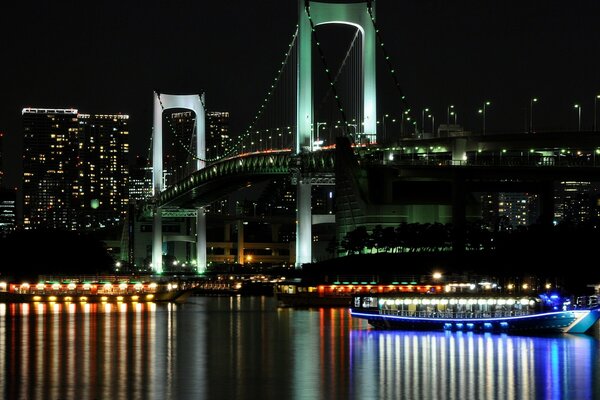 Architectural bridge on the background of the night city