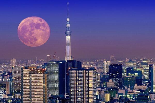 Ostankino TV tower. Full moon. Beauty