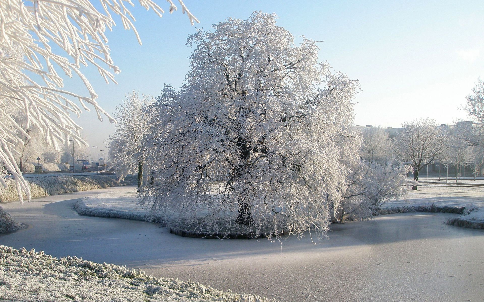 rivières étangs et ruisseaux étangs et ruisseaux neige hiver gel glace froid congelé bois paysage nature bois givré route météo saison brouillard neige-blanc beau temps guide campagne